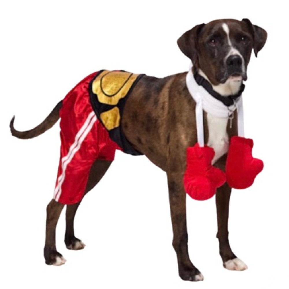 Bootique Boxer 2-Piece Dog Halloween Costume L/XL